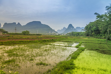 桂林田園風(fēng)光