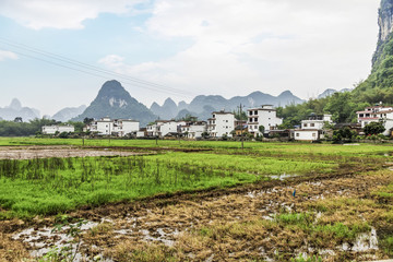 桂林田園風(fēng)光
