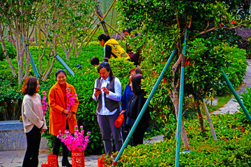 公園游玩