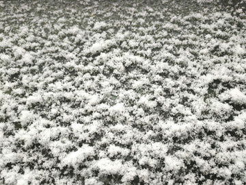 碎雪