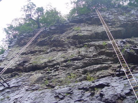 山