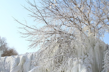 冰柱樹掛