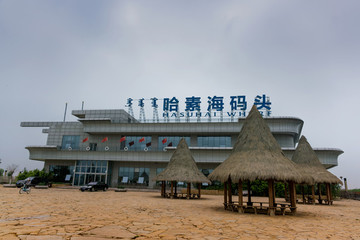 哈素海