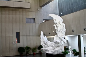 凈月女神