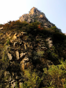 梨木臺風(fēng)景