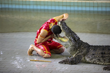 泰国芭提雅鳄鱼惊险表演
