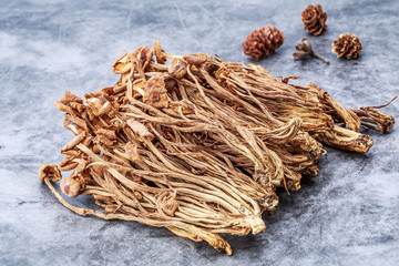 干茶樹菇