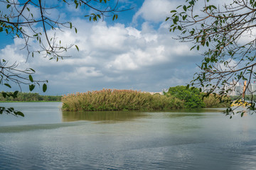 萬泉河