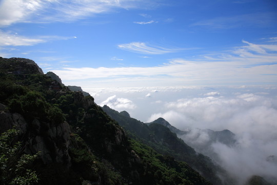 泰山云海