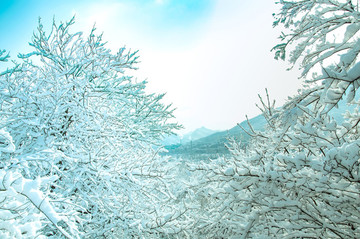 望溪公園冰雪