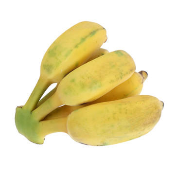 米蕉香蕉粉蕉