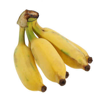 米蕉香蕉粉蕉