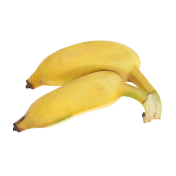 米蕉香蕉粉蕉