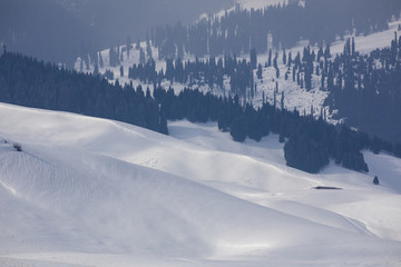 雪景