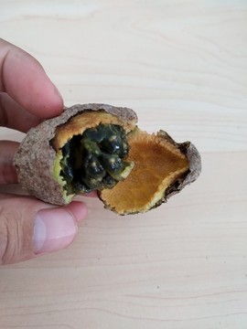 野生白那藤
