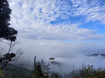 云海