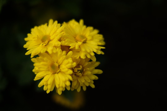 小花