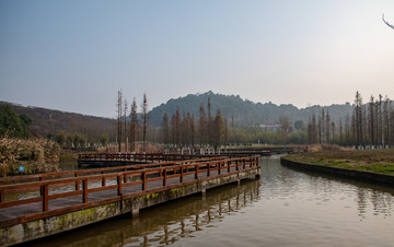 公園湖畔