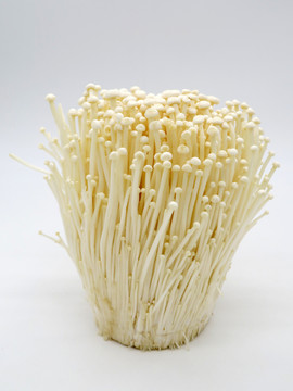金針菇