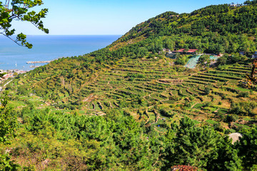 青島嶗山青山村