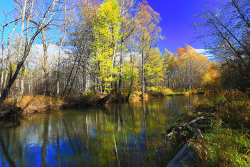 河流彩林灿烂秋色