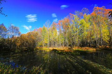 小溪彩林灿烂秋色