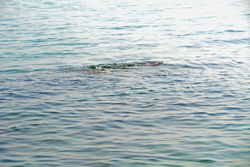 海水海浪
