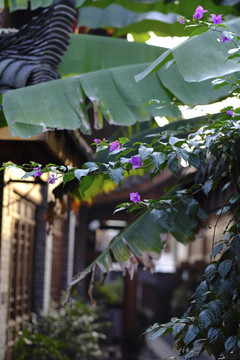 古鎮(zhèn)