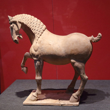 唐代白陶誕馬