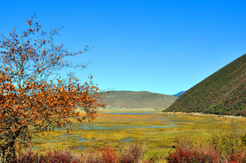 高原濕地