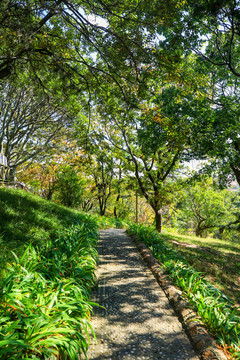 青島德國(guó)總督樓舊址博物館