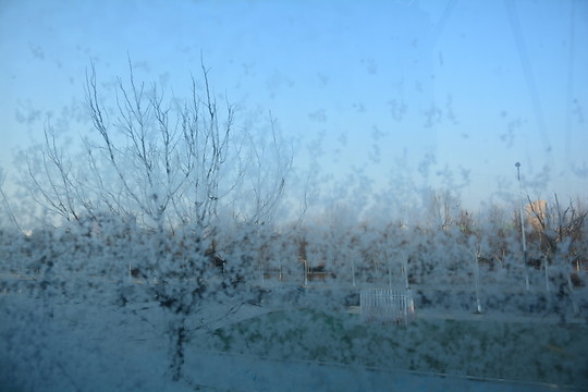 朦朧