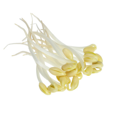 豆芽