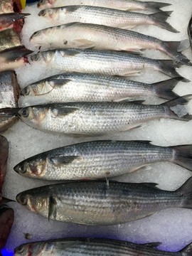 海鮮水產(chǎn)