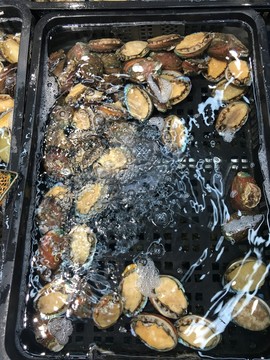 海鮮水產(chǎn)