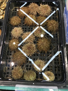 海鮮水產(chǎn)