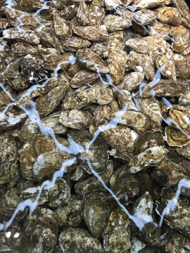 海鮮水產