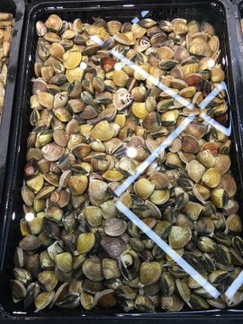 海鮮水產(chǎn)