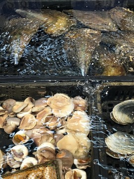 海鮮水產(chǎn)