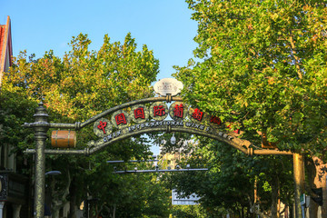 青島紅酒街
