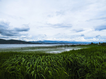 洱海