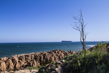 碧海藍(lán)天礁石