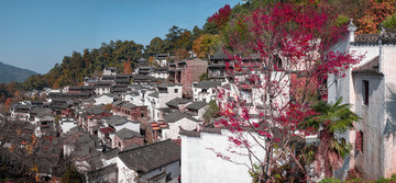 婺源篁嶺風(fēng)光