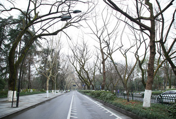 杭州城市街道