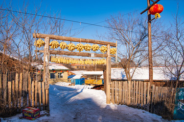 松嶺雪村