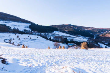 松嶺雪村