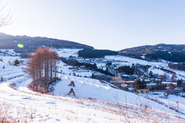 松嶺雪村