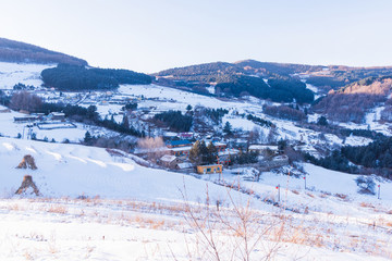松嶺雪村