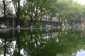 美麗校園
