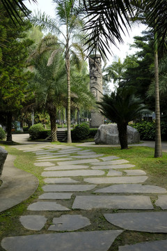 公園小路